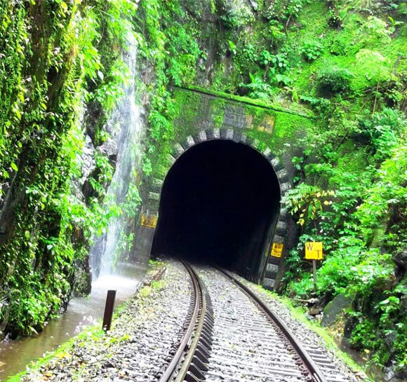 NatureTrek Homestay img1