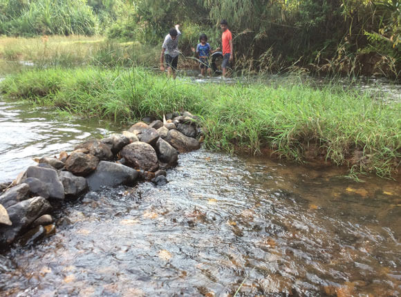 NatureTrek Homestay img2-2