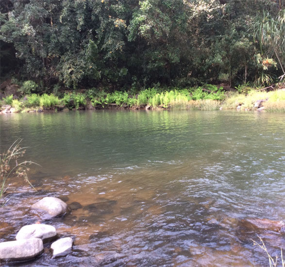 NatureTrek Homestay img7