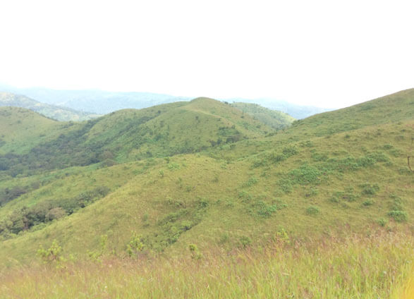 NatureTrek Homestay img8